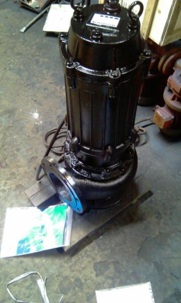 供應(yīng)65口徑無(wú)堵塞潛水排污泵，無(wú)堵塞型排污泵供應(yīng)商，上海水泵廠家