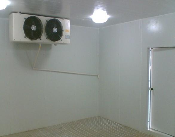 供應琥珀拋光冷凍庫