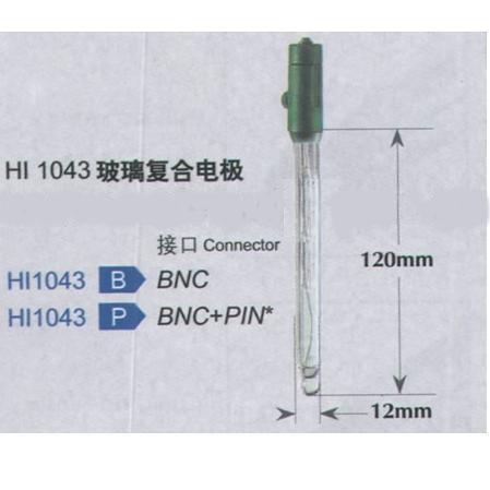 HI1043玻璃复合电极图片