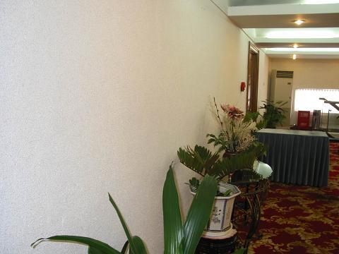 供應(yīng)*蠶絲墻衣