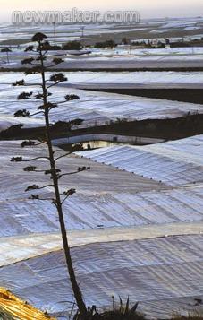 供應(yīng)科萊恩SAS93*劑