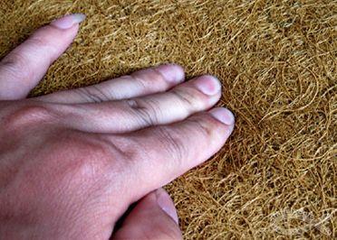 供應(yīng)河北壓縮海綿床墊電話