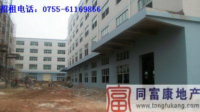 公明新廠房招租圖片/公明新廠房招租樣板圖 (2)