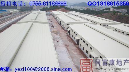公明廠房招租鋼構(gòu)廠房圖片