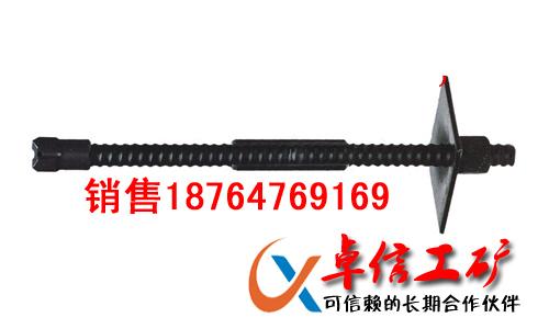 加工等強(qiáng)螺紋錨桿訂制等強(qiáng)螺紋錨桿圖片