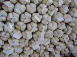 供應(yīng)紅黃皮洋蔥·大蒜·甘藍(lán)·供應(yīng)商·生產(chǎn)基地·*人·合作社紅黃