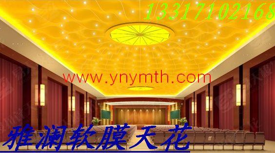 武漢軟圖片/武漢軟樣板圖 (2)