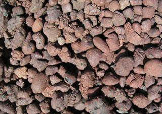 輕質(zhì)頁巖陶粒濾料廠家圖片