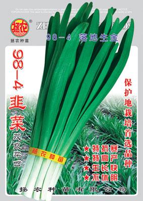 984韭菜圖片