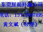供應(yīng)東莞新房裝修后清潔，東莞公司清潔，東莞家庭清潔，東莞地板清洗