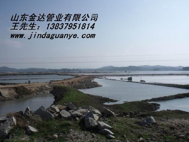 供應(yīng)鋁礦管道-金礦管道-鉬礦*管道