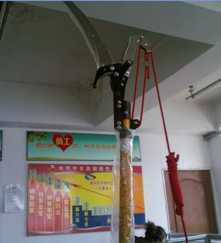 五星傾力打造高枝油鋸絕絕緣高枝剪A3絕緣高枝剪銷量居*A3張娜麗