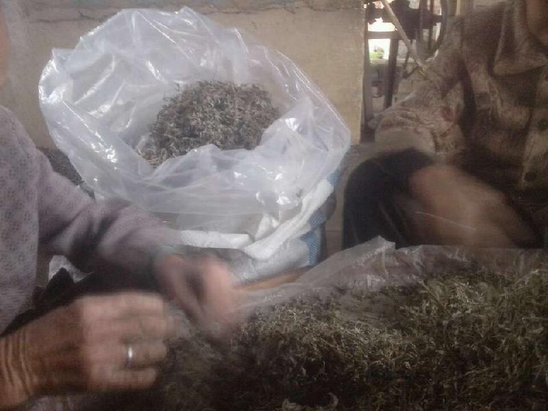 供應(yīng)*茅巖莓，*茅巖莓廠家，*茅巖莓供應(yīng)商，*茅巖莓產(chǎn)地價(jià)格