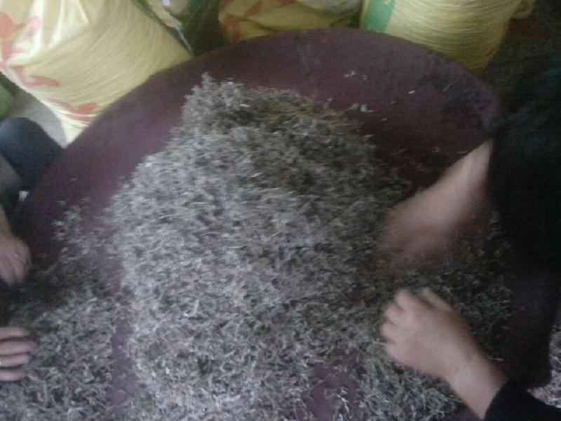 供應(yīng)小游莓茶一斤，小游莓茶一斤批發(fā)多少錢，小游莓茶一斤賣多少錢