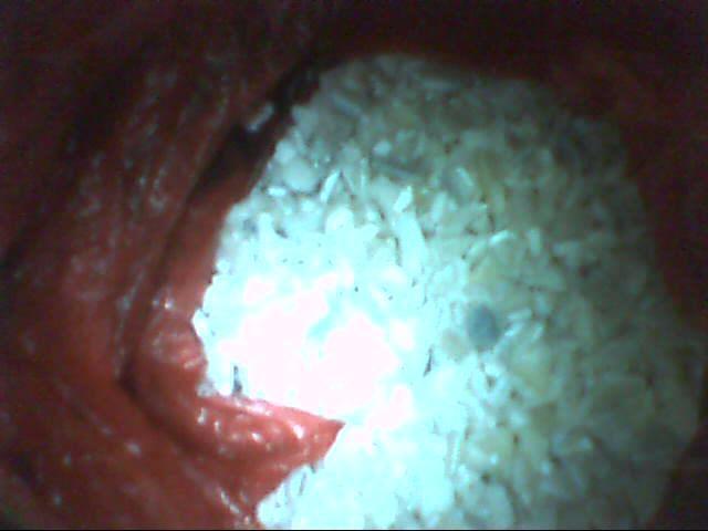 供應(yīng)工程聚丙再生塑料工聚