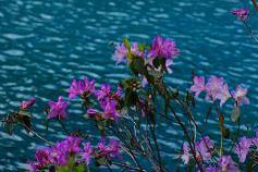 供應(yīng)春季九寨之旅自助游全攻略-九寨溝旅游自助游租車-九寨溝自由行租車