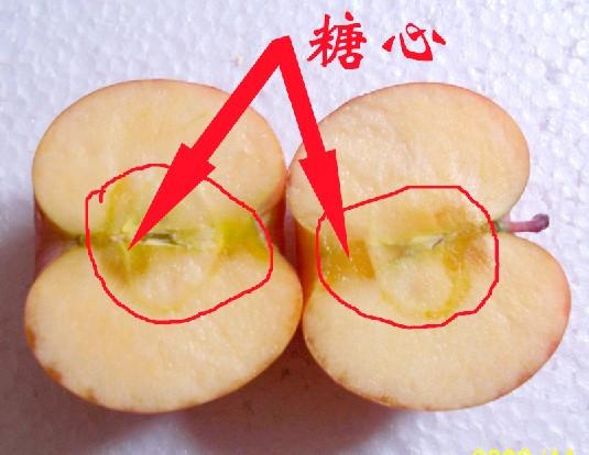 *心蘋果批發(fā)/*糖心蘋果/糖心蘋果*