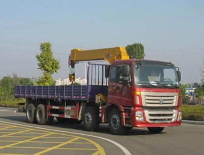 程力威牌5311JSQB3隨車起重運輸車圖片