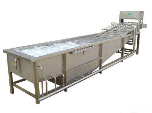 流水線蔬菜清洗機(jī)圖片