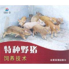 2012重庆野猪养殖CCTV7农业养殖图片