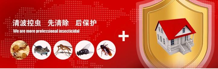 西安市除蟑螂公司厂家供应专业杀蟑螂洗浴饭店食堂宾馆除蟑螂/除蟑螂公司/灭蟑螂公司电话/家庭灭蟑螂上门服务