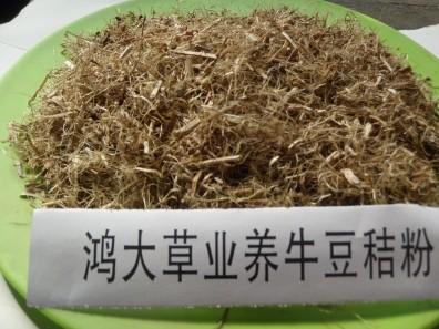 供應(yīng)哪里有豆秸粉找鴻大草業(yè)
