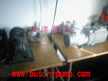 供應(yīng)萊寶旋片真空泵