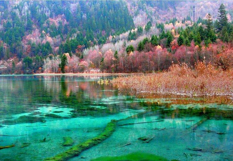 九寨沟自助游黄龙旅游3日行程线路供应九寨沟自助游黄龙旅游3日行程线路自助游旅游攻略