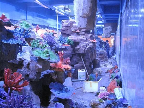 供應(yīng)海洋酒店餐廳亞克力魚缸