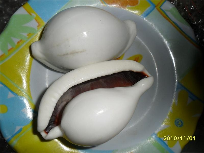 供應(yīng)黑釘螺