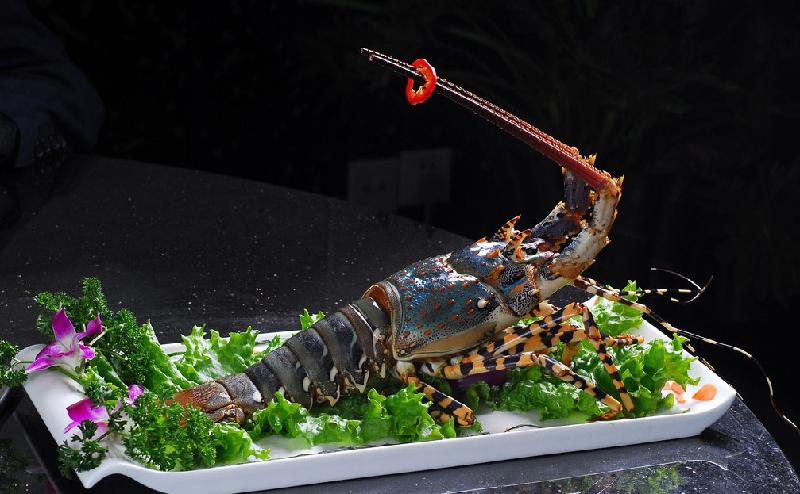 供應(yīng)呂梁菜譜設(shè)計(jì)