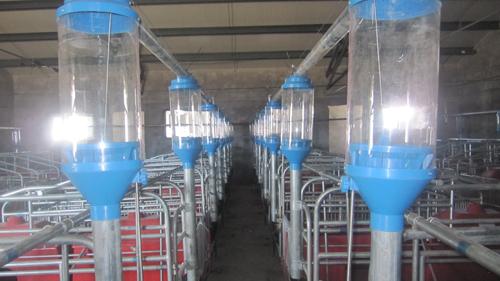 供應(yīng)江西豬場(chǎng)自動(dòng)喂料系統(tǒng)豬場(chǎng)料線母豬自動(dòng)料線