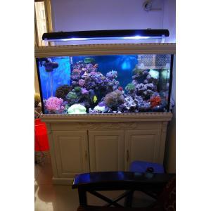 供應(yīng)越秀上門魚缸換水清洗越秀魚缸清洗換水魚病防治魚缸定做