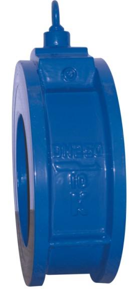 供應(yīng)止回閥專業(yè)生產(chǎn)