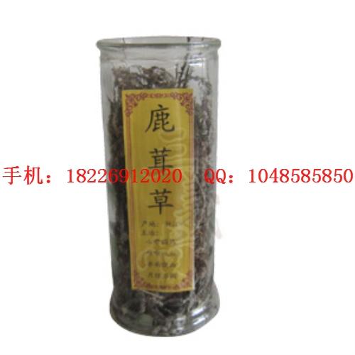 供應(yīng)石蟬草批發(fā)老頭草批發(fā)鹿茸草批發(fā)
