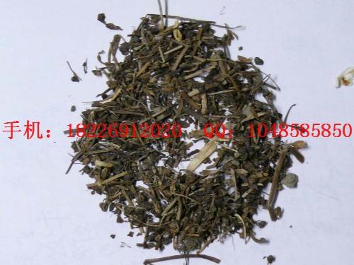 優(yōu)質(zhì)接骨仙桃草批發(fā)價(jià)格圖片