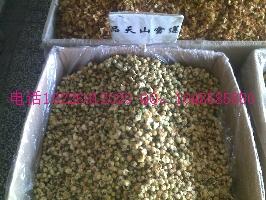 供應(yīng)芫花天山雪蓮批發(fā)價(jià)格