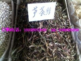 供應(yīng)一支篙草雪上一枝蒿批發(fā)價(jià)格