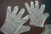 一次性PE手套圖片