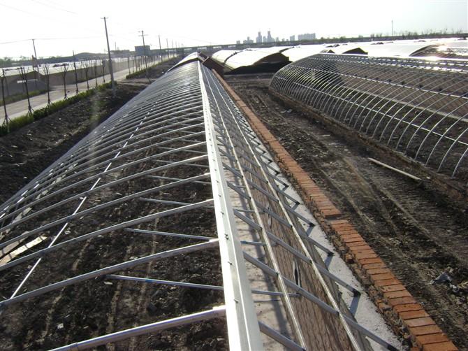 供應(yīng)連棟大棚/連棟大棚價(jià)格