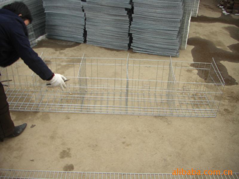 雞籠廠家批發(fā)/雞籠聯(lián)系電話圖片