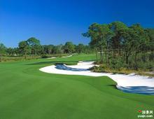 供應(yīng)海南瓊海草皮，夏威夷草皮，馬尼拉草皮，大葉油草供應(yīng)價(jià)格 海南夏威夷草卷批發(fā)