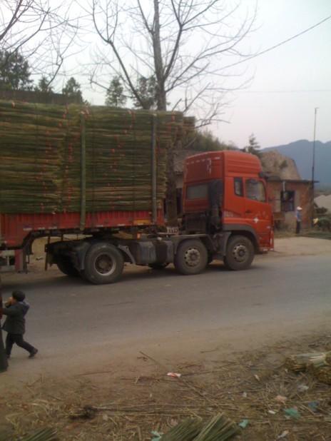 供應(yīng)這里是大棚毛竹片銷售市場