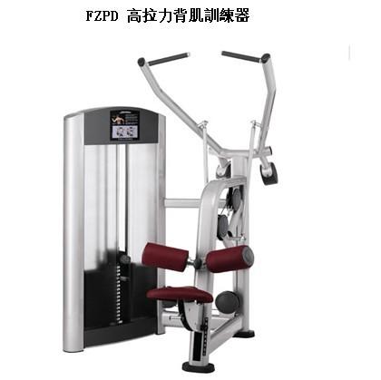 FZPD高拉力背肌訓(xùn)練器圖片