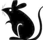 上海上門滅蟑螂公司電話，上海防治蟑螂殺蟑螂公司電話