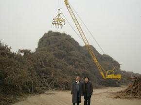 供應(yīng)垃圾發(fā)電行業(yè)垃圾的卸車堆高喂料機(jī)