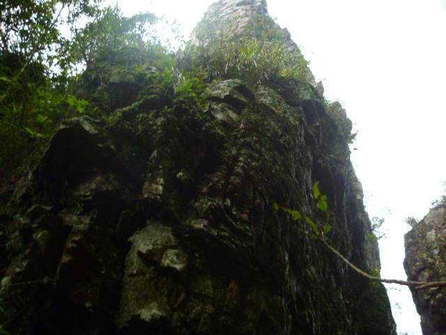 供應(yīng)庭院塑石假山