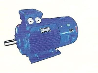 供應(yīng)電機(jī)產(chǎn)品 大連電機(jī)集團(tuán)電機(jī)產(chǎn)品