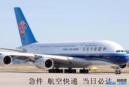 寵物空運(yùn)寵物托運(yùn)圖片