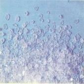 甜蜜素長(zhǎng)期供應(yīng)商